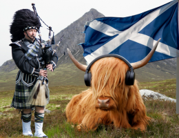 Scottish thumbnail